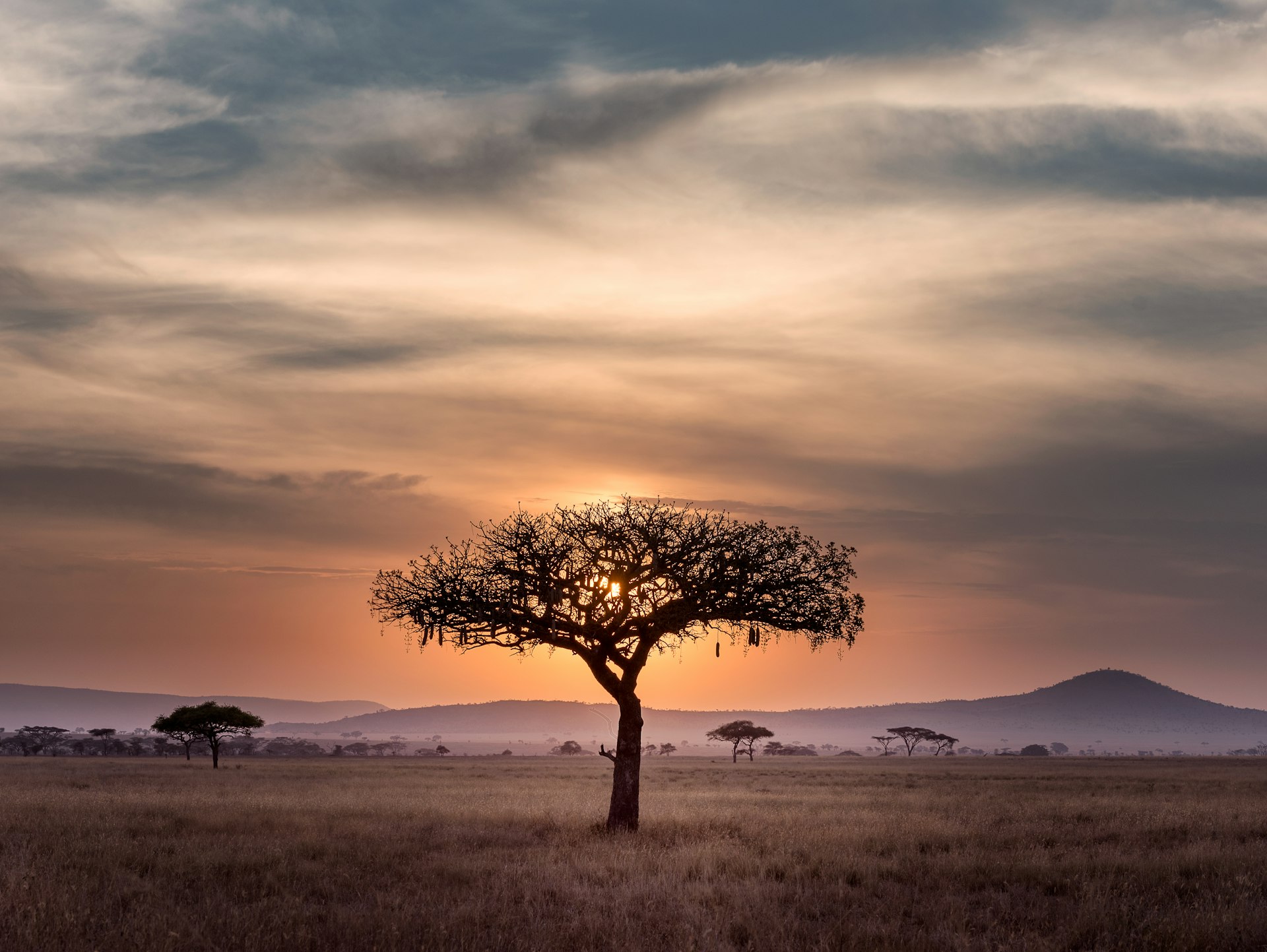 Paysage africain